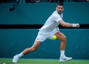 虎扑体育-德约科维奇爆冷击败曼联，出色防守引爆全场！的简单介绍