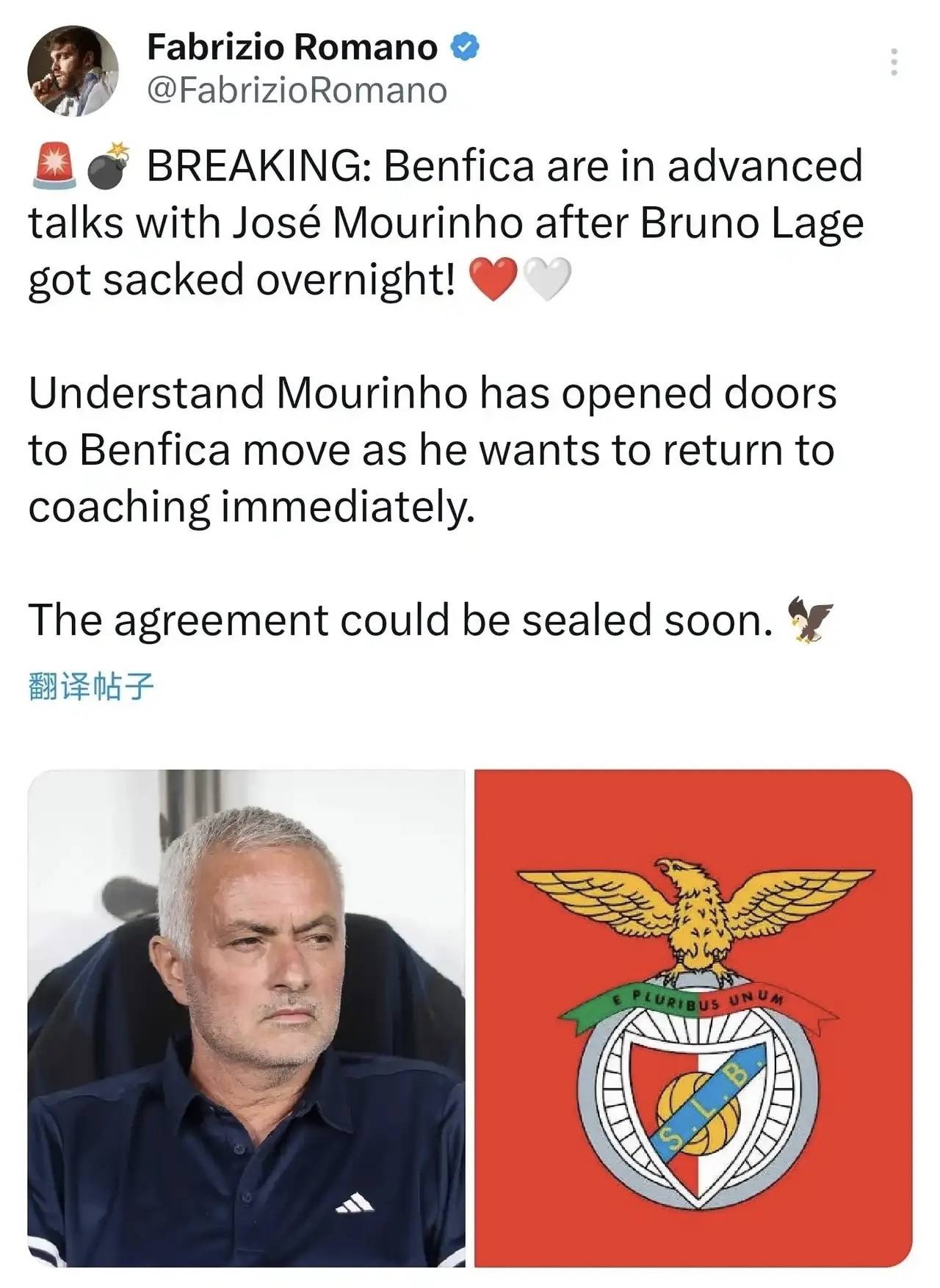 关于里程碑夜!葡萄牙国家队内部沟通,英超赛后刷纪录,媒体盛赞,轮换策略被讨论的信息 关于里程碑夜!葡萄牙国家队内部沟通,英超赛后刷纪录,媒体盛赞,轮换策略被讨论的信息